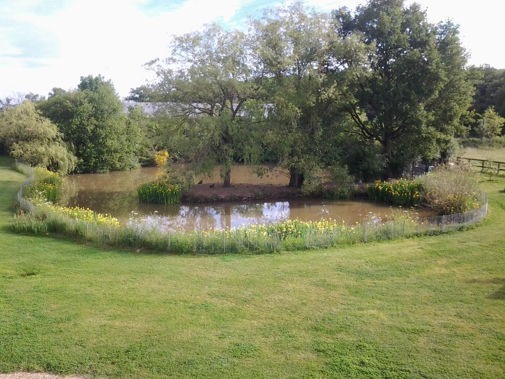 Grand Mainguet Bed & Breakfast Saint-Lambert-la-Potherie Bagian luar foto
